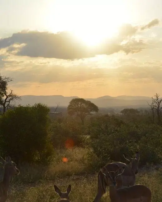 Kruger-National-Park-iss (1)